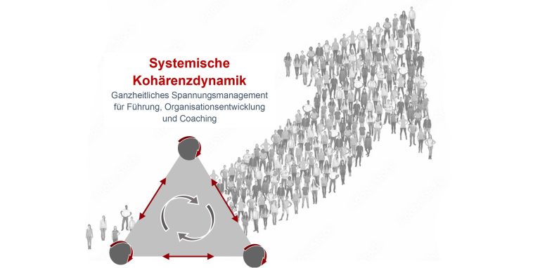 Kurzeinführung in das Schema der Systemischen Kohärenzdynamik